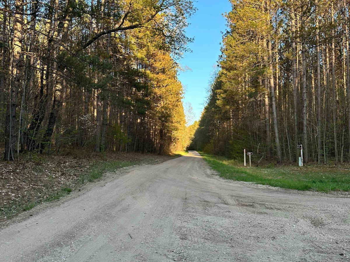 Cadillac Area ORV/OHV Scenic Ride - Part 21 photo 6