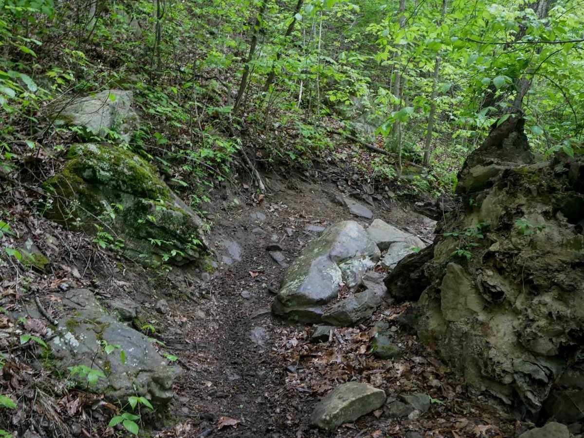 BM 132 trail photo