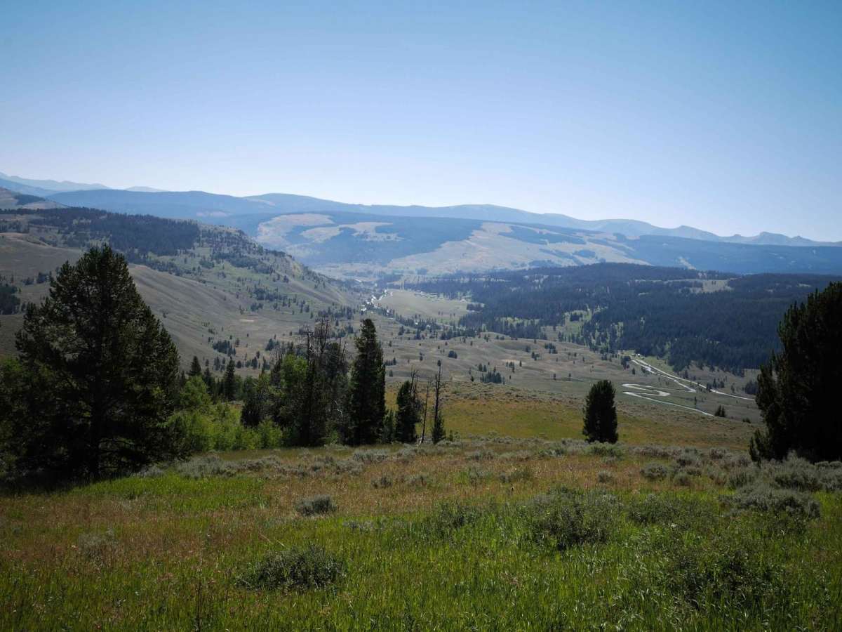Dead Horse Creek trail photo