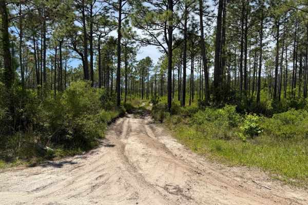 Pringle Road Spur 3