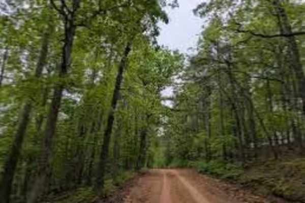 Long Caney bypass