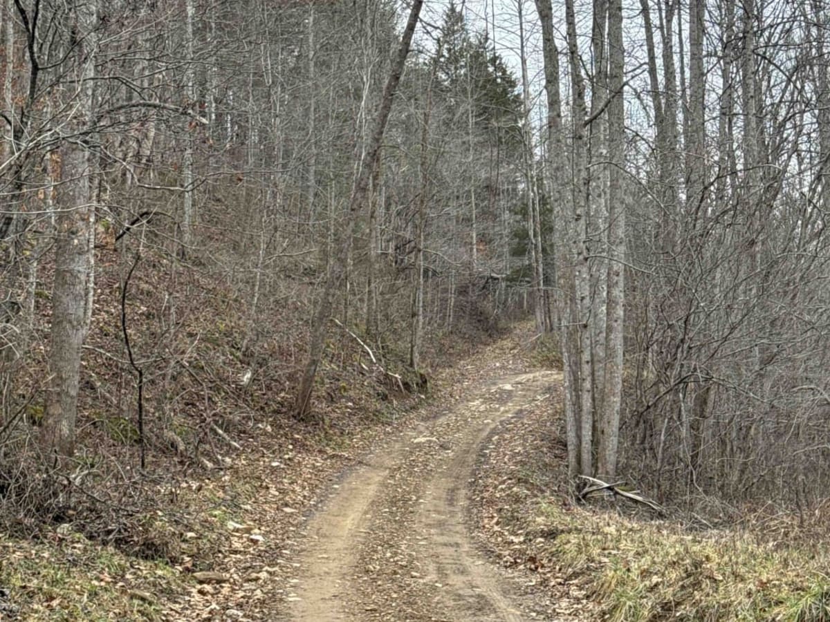 Clover Bottom Creek Road photo 6