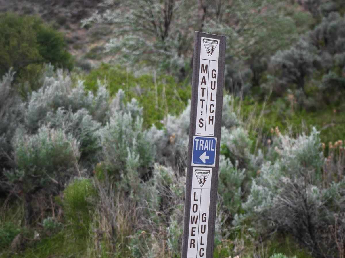 Matt's Gulch photo 6