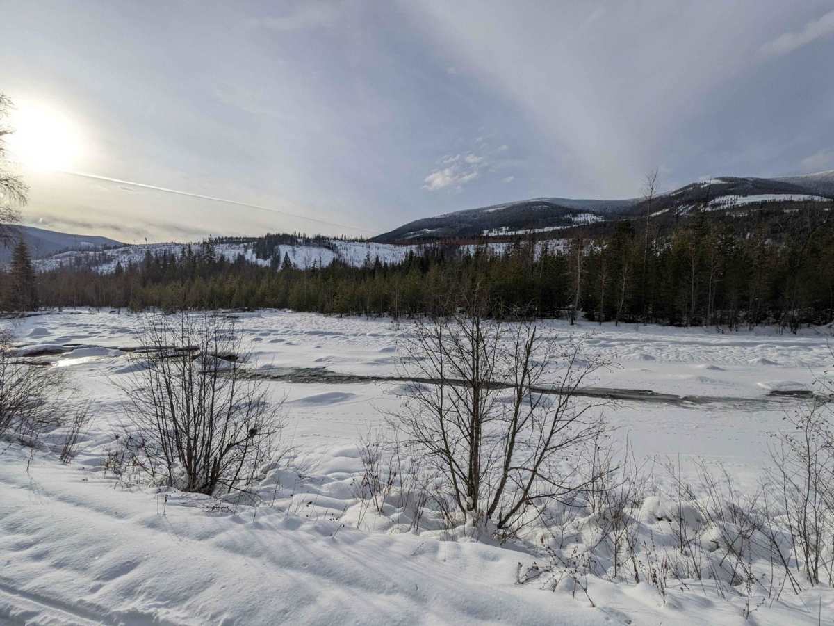 Goat River FSR trail photo