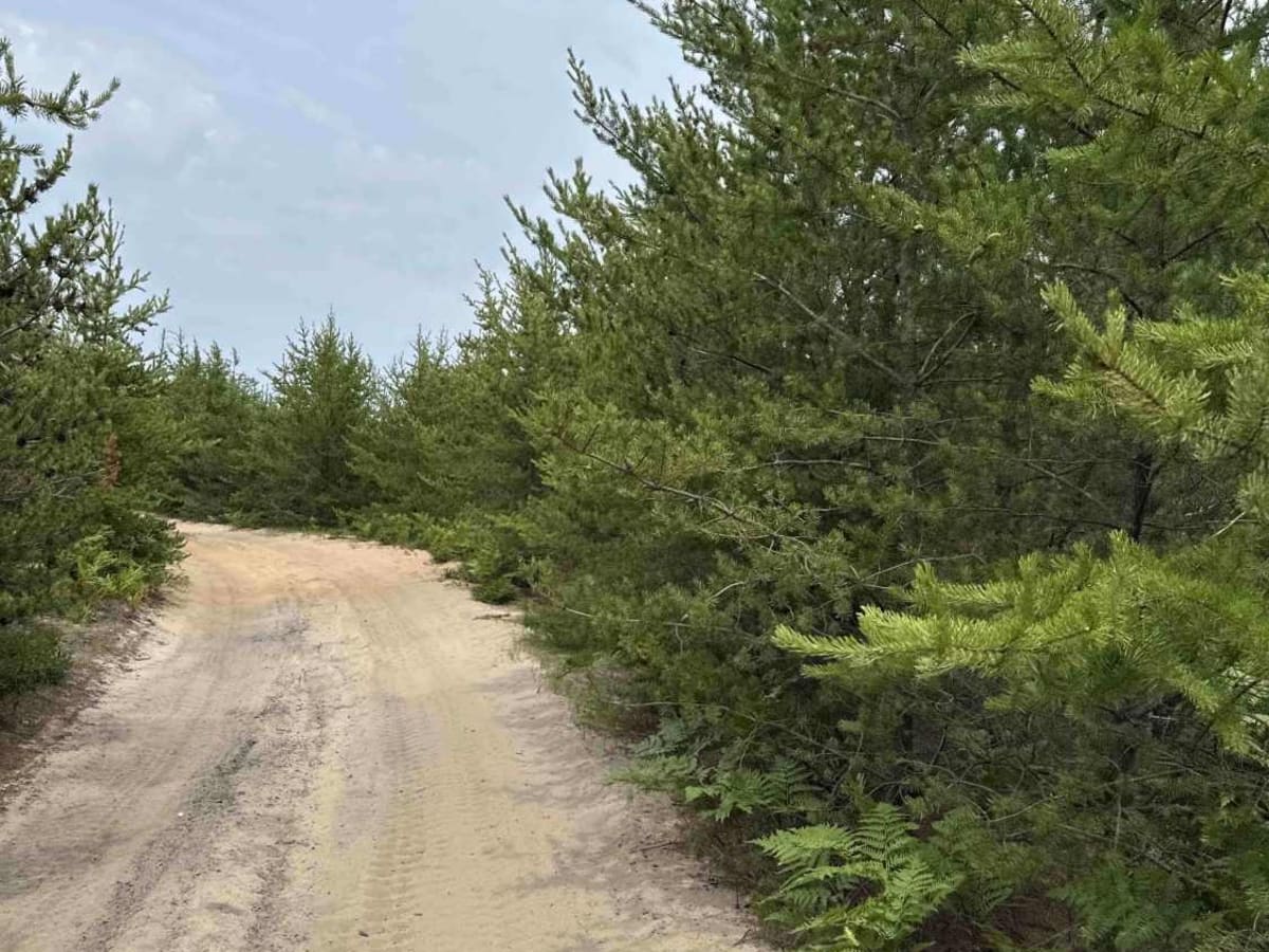 County Road 412 West photo 6