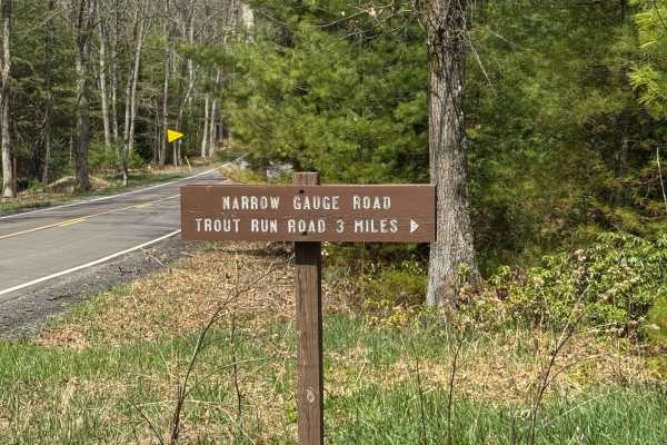 Narrow Gauge Road