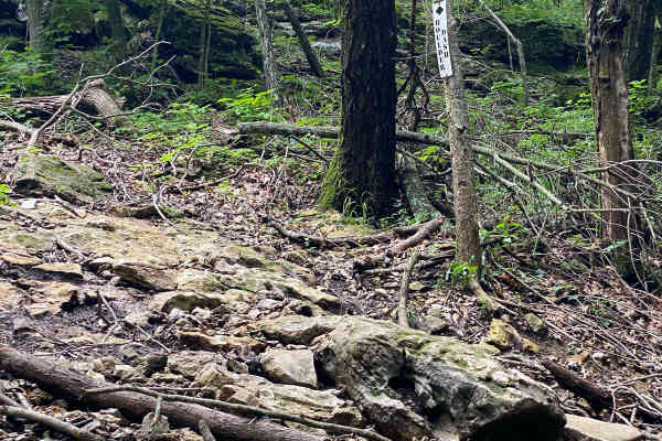 Boulder Dash