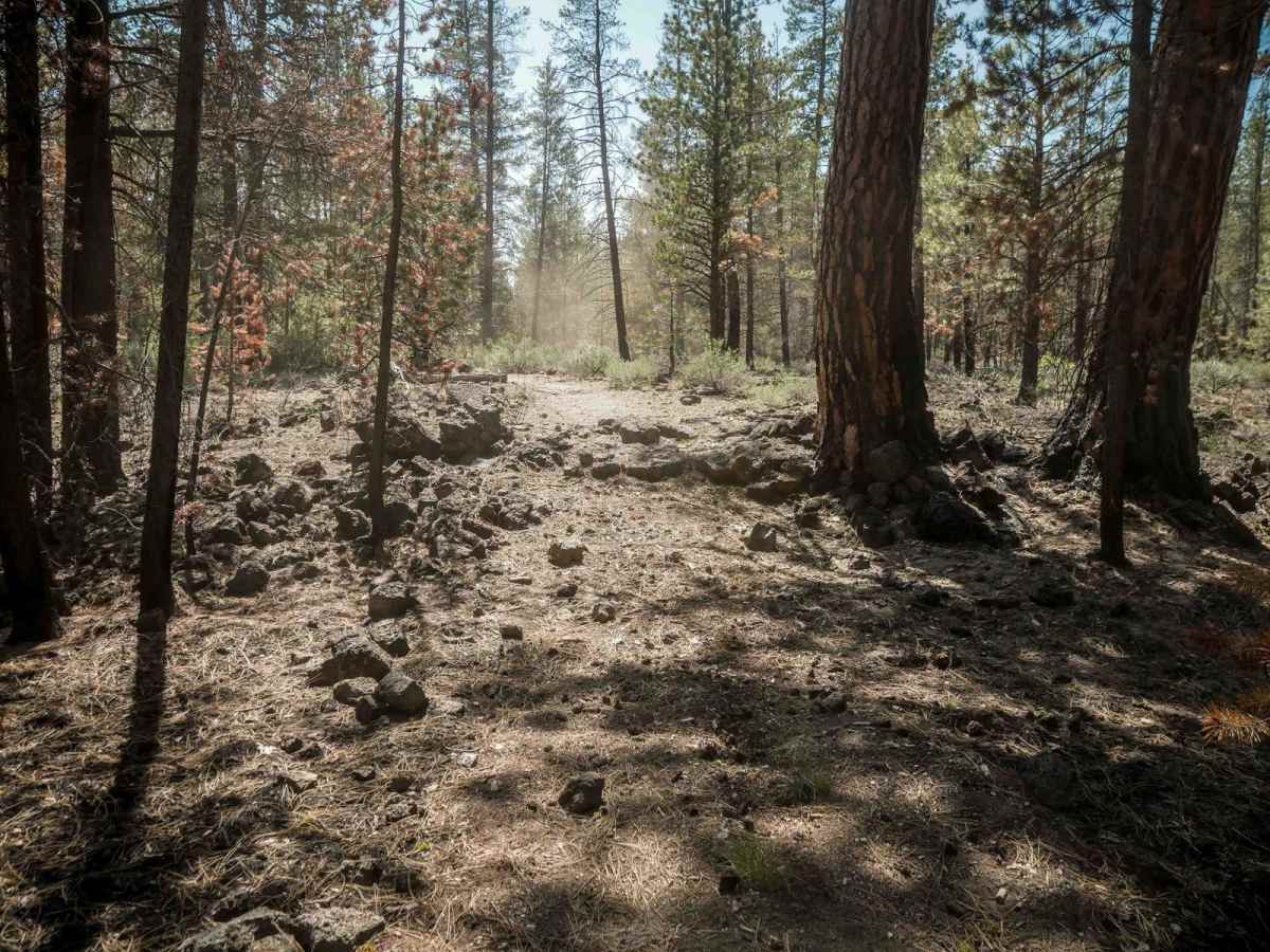 85 trail photo