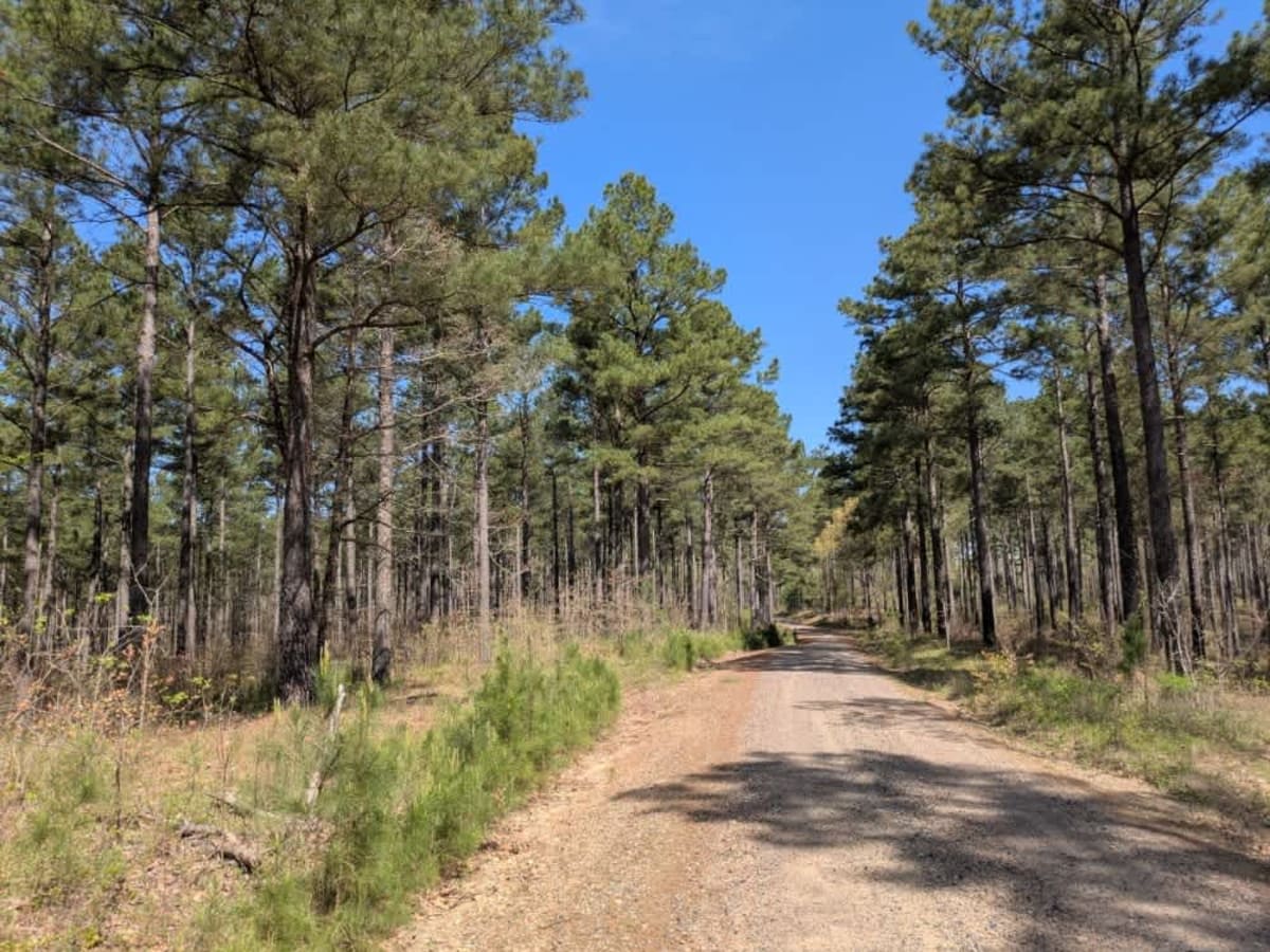 26280 trail photo