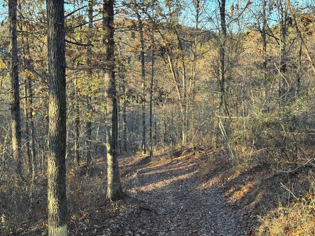 Green 153 photo 2