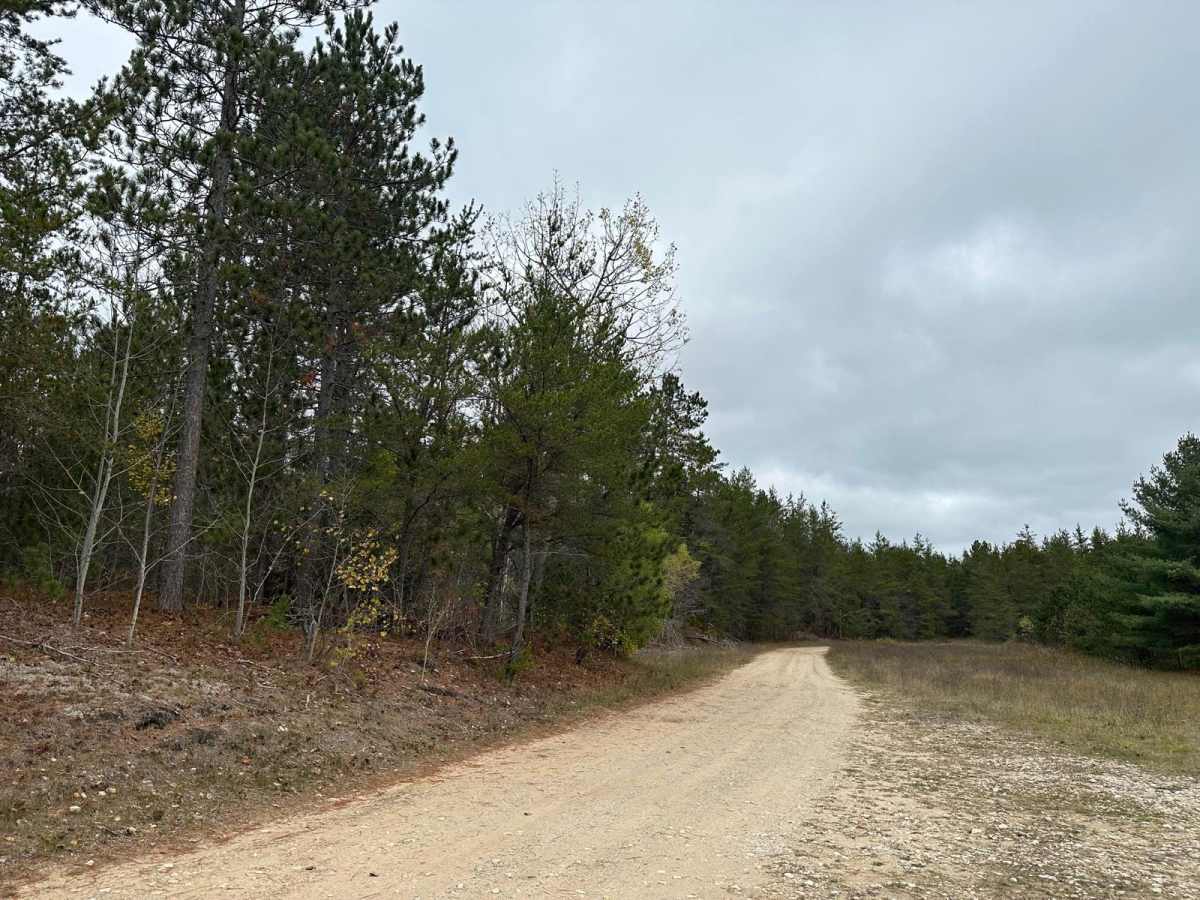 Driggs River Road photo 3