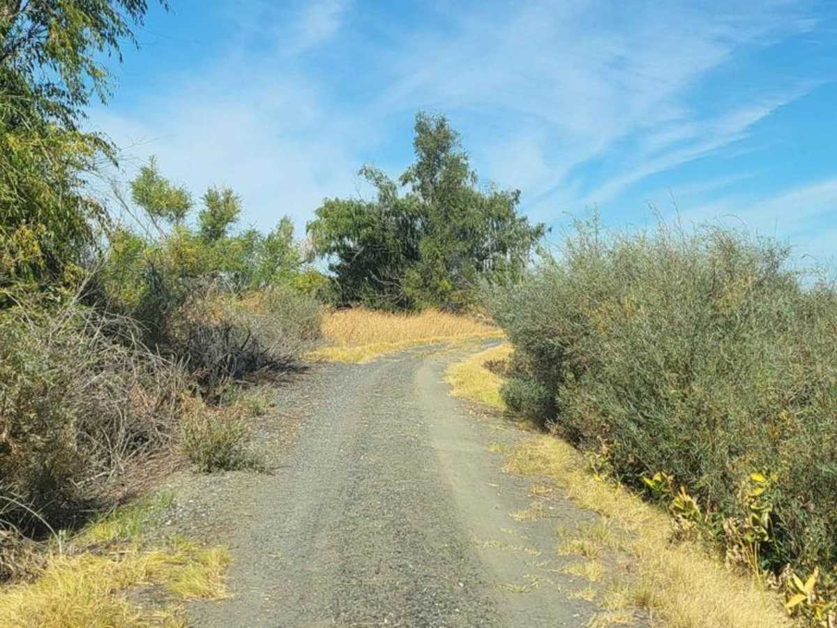 Bird Reserve photo 5