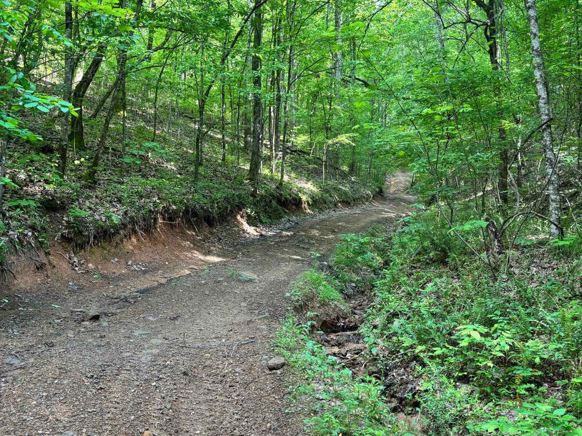309 trail photo