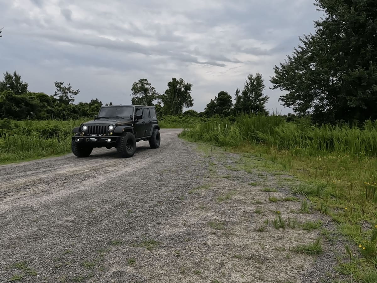 Pocosin Lakes National Wildlife Refuge photo 4