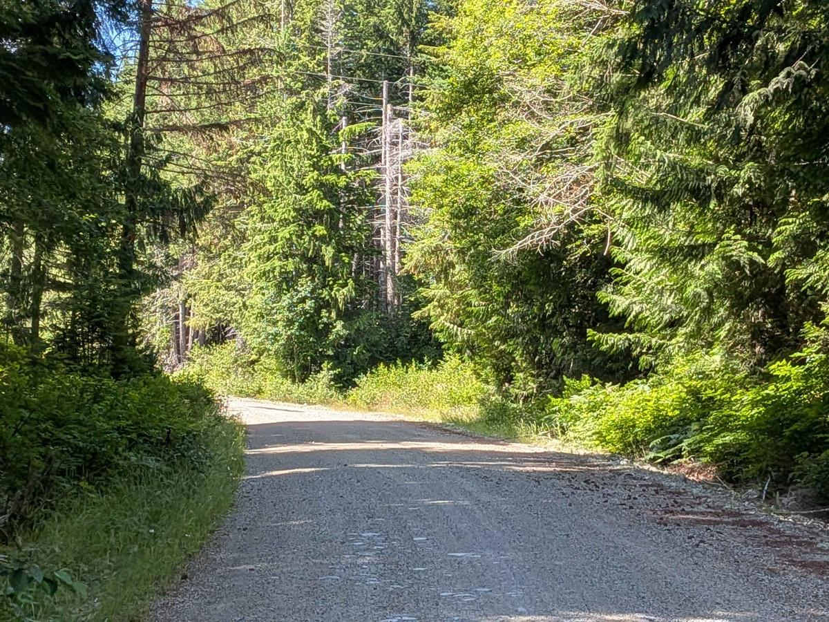 Sebalhall Road trail photo
