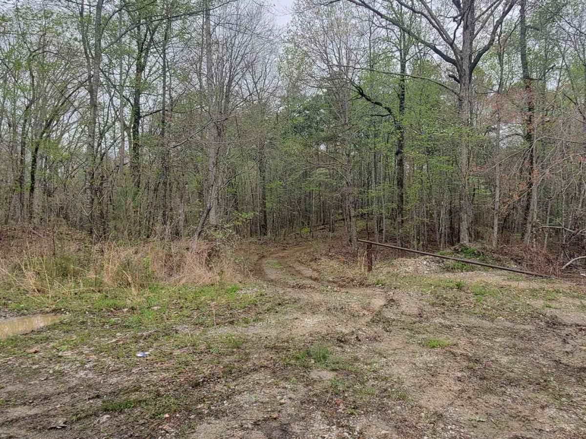 Reservoir Road (621c) photo 3
