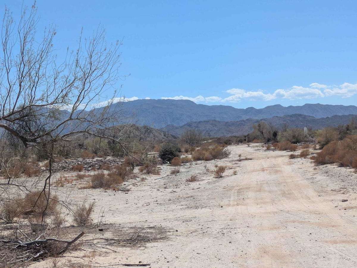 Playa Blanca Wash Loop photo 3
