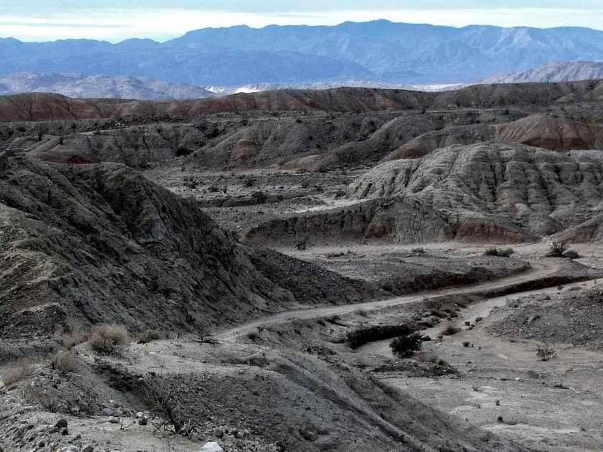 North Fork Arroyo Salado trail photo