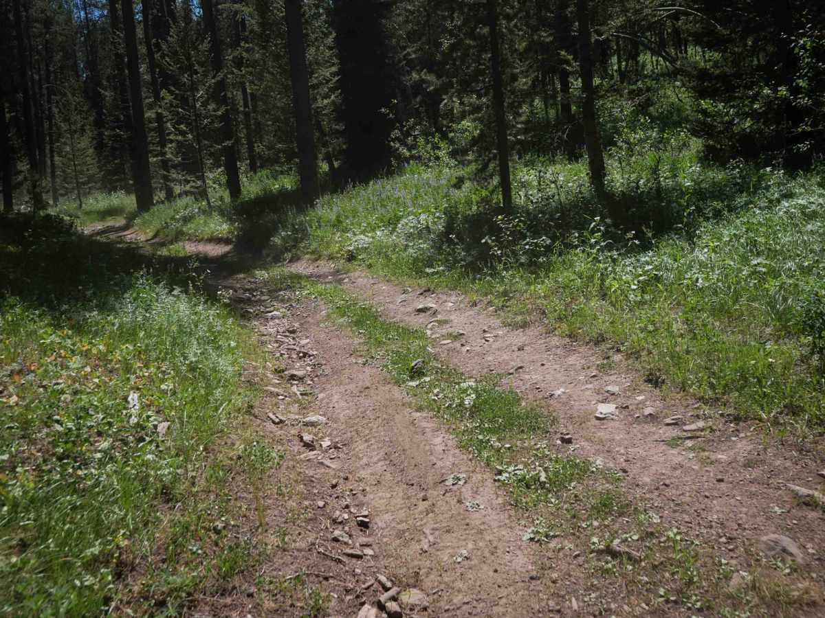 Cold Springs/Upper Dry Valley #5206 photo 4