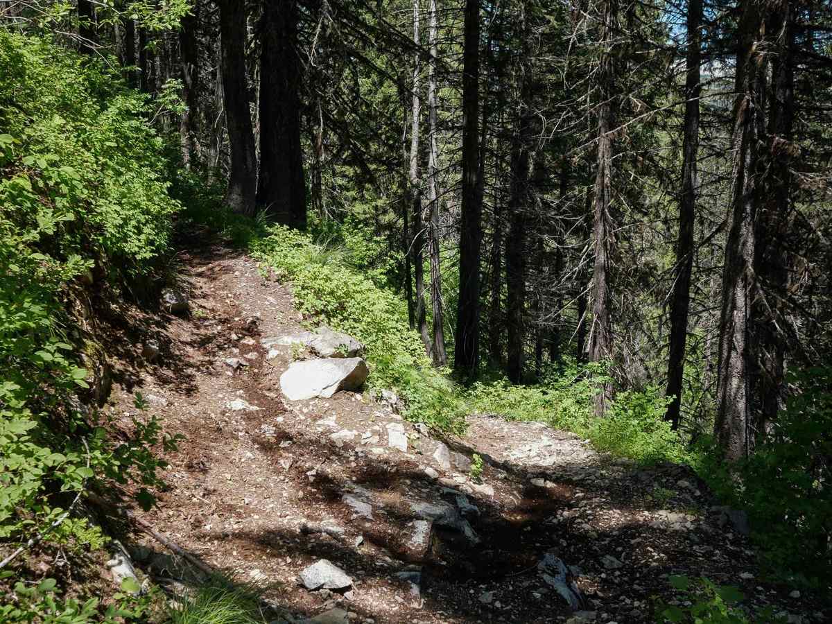 Junction Mountain photo 4