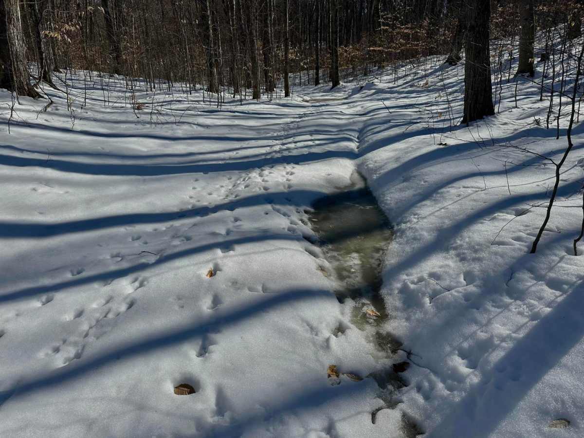 Deer Track Trail photo 4