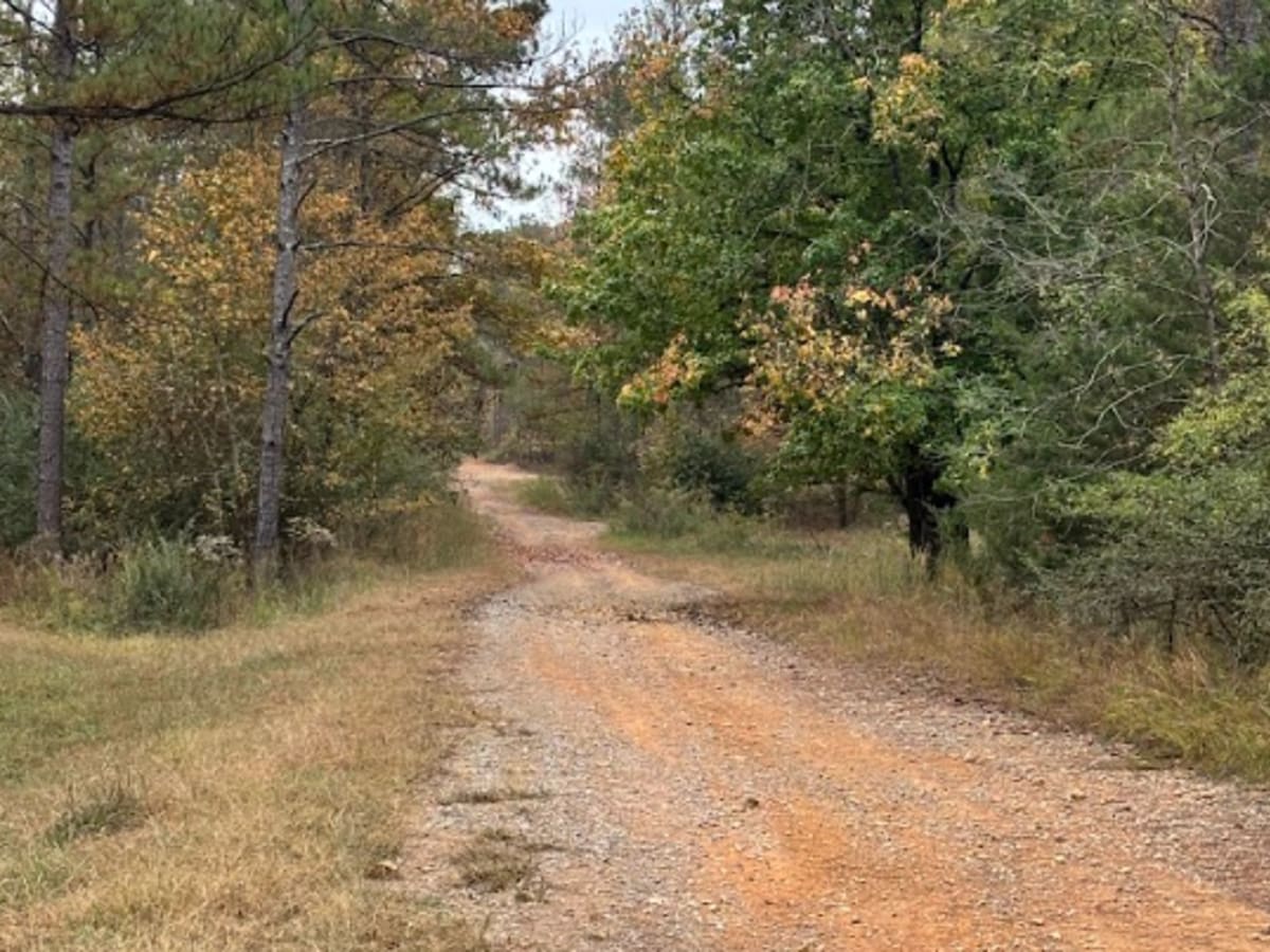 Annex Road / 11 photo 2