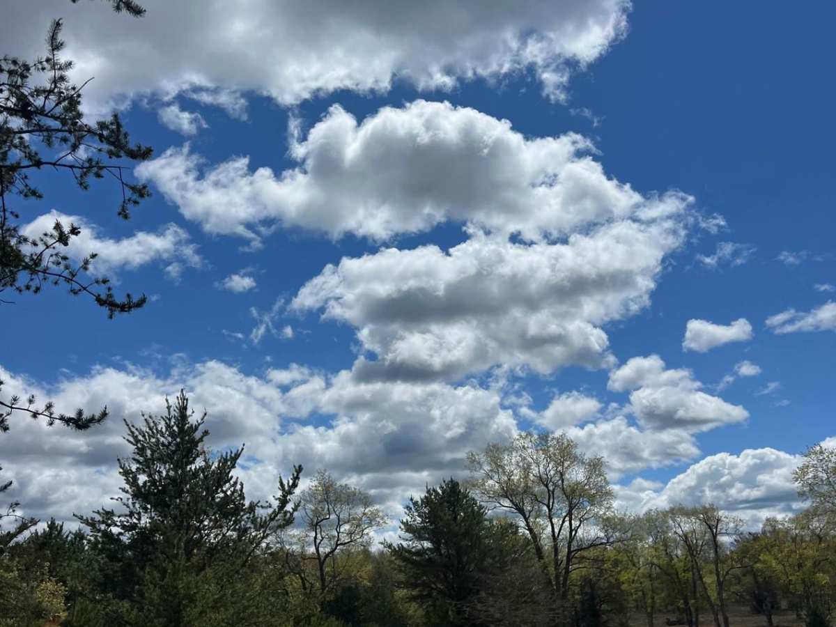 S 23-1/2 Trail photo 5