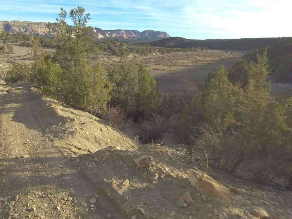 Deer Hollow-K2155 photo 5