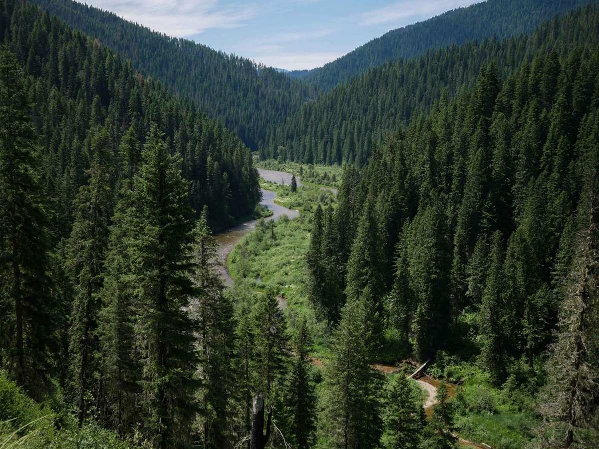 Weitas Creek photo 2