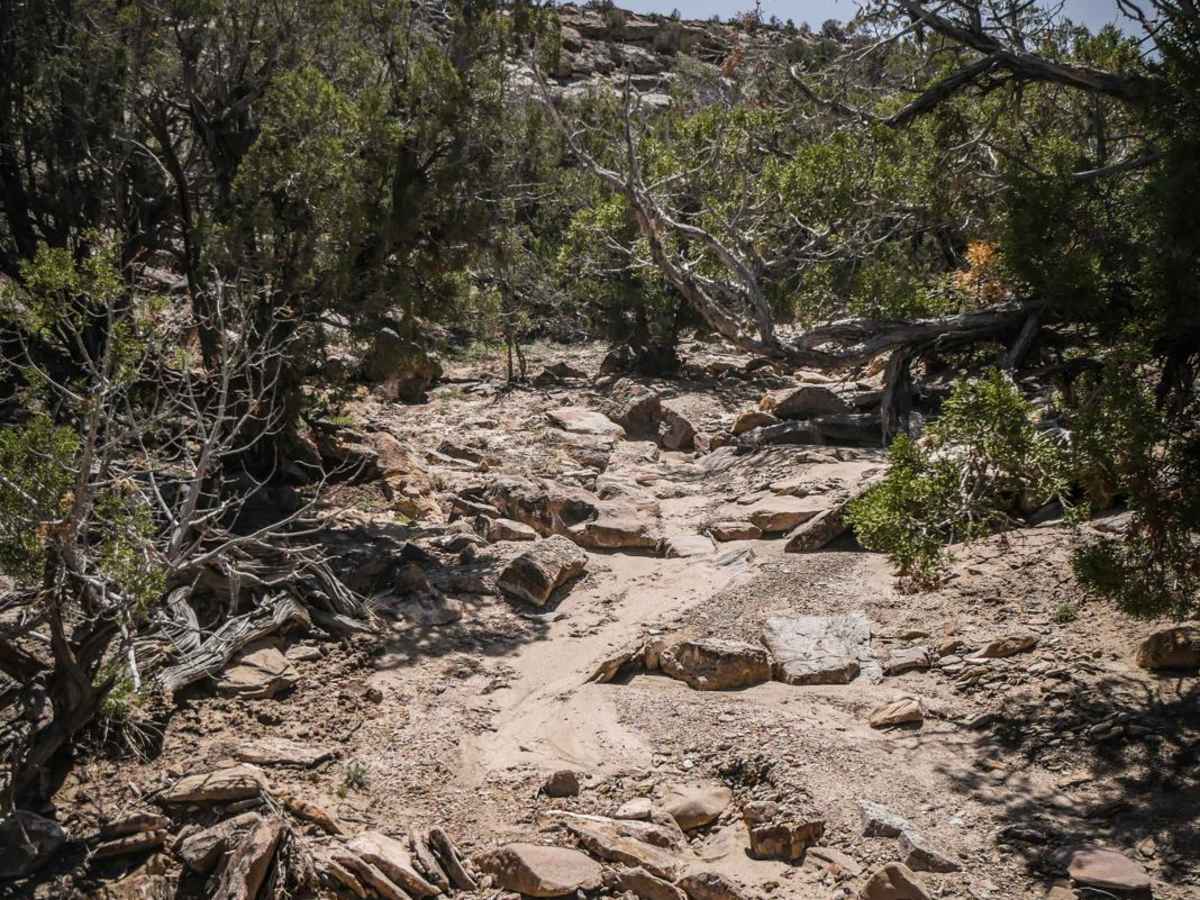 BLM Route 87 photo 6