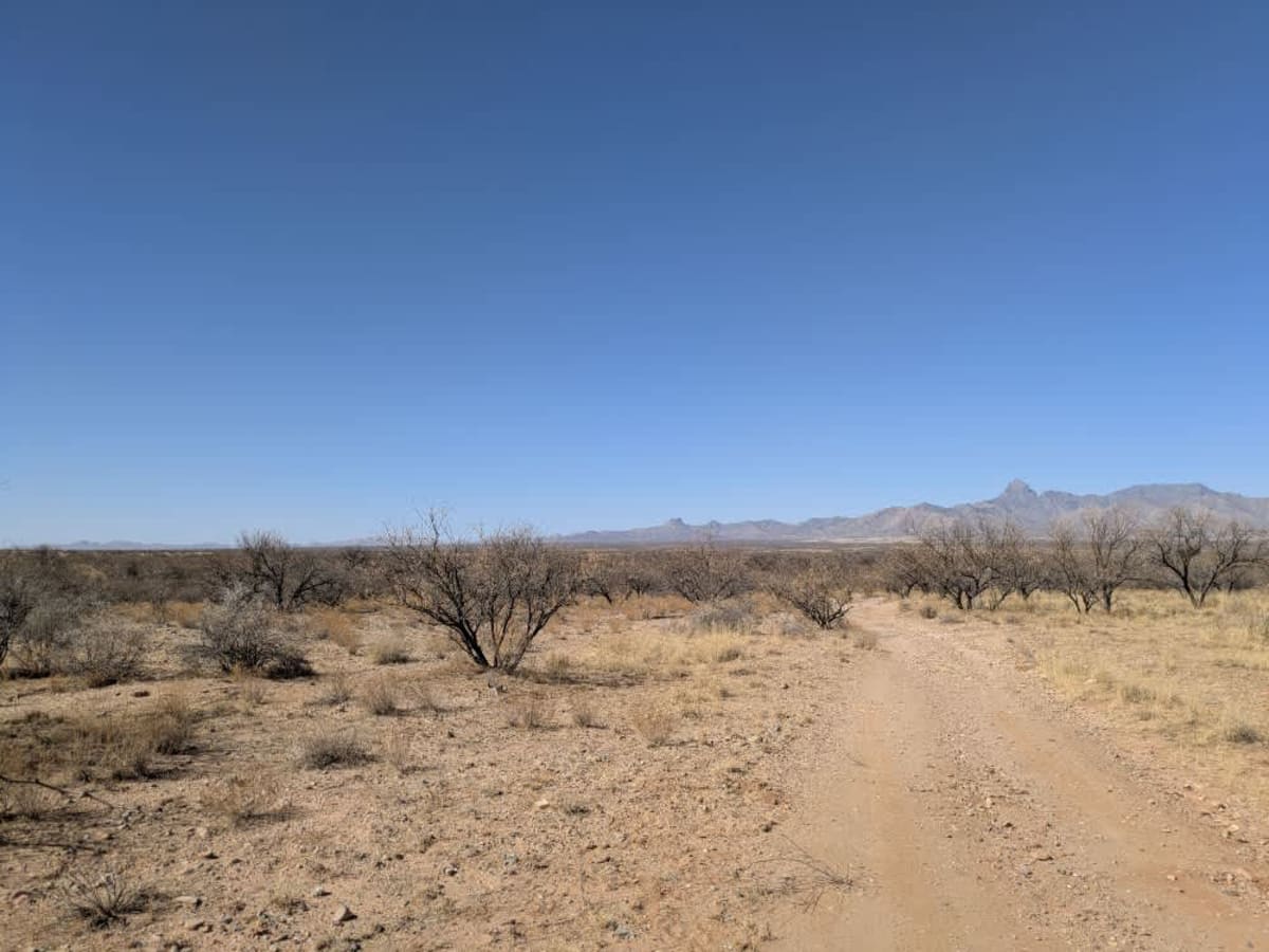 FR229 Bueno Tank Road photo 3