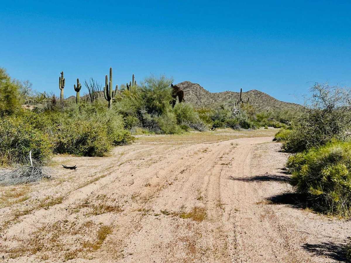 Jimmie Wash Trail photo 5
