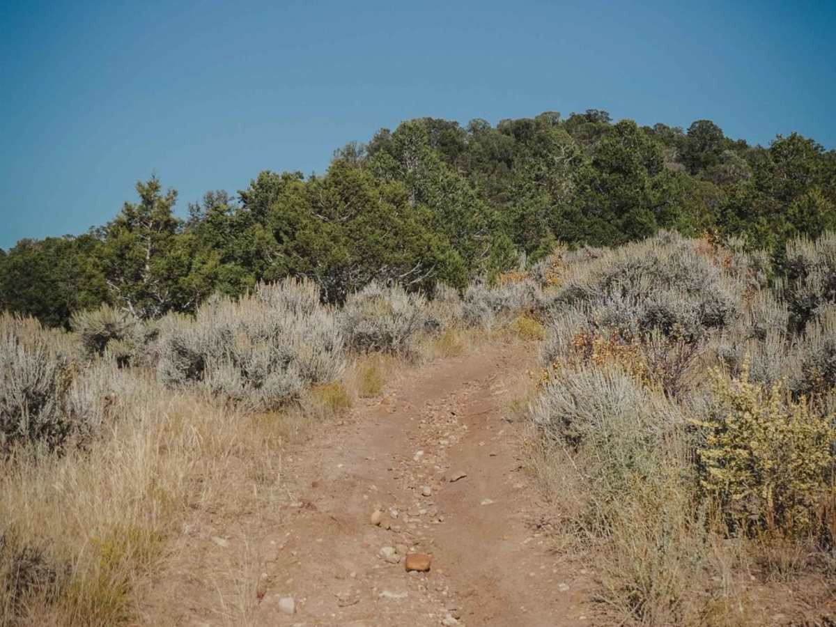 Outie trail photo
