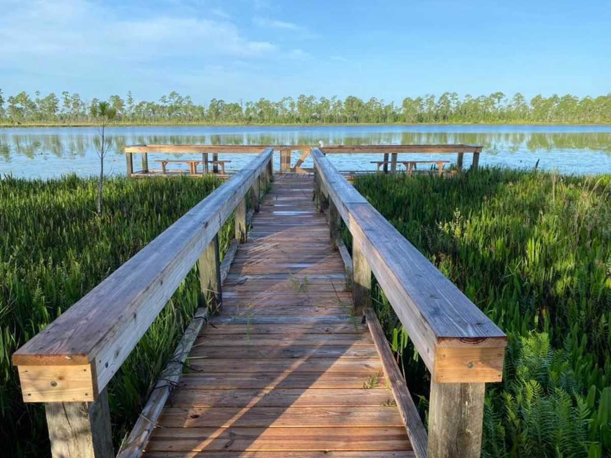 Lake Goodwin Road trail photo