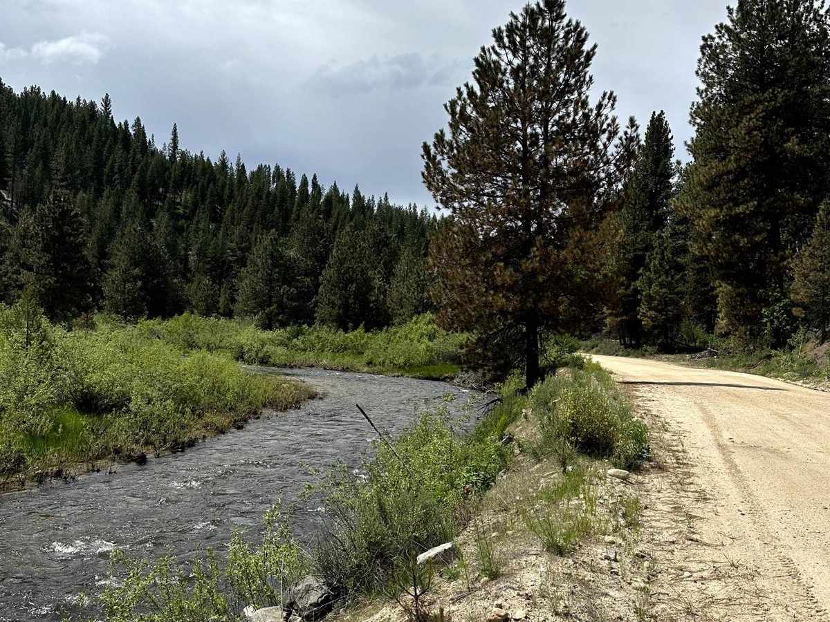 Grimes Pass Road photo 5
