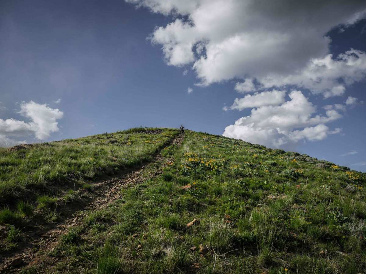 East Slope of Old Baldy Peak photo 5