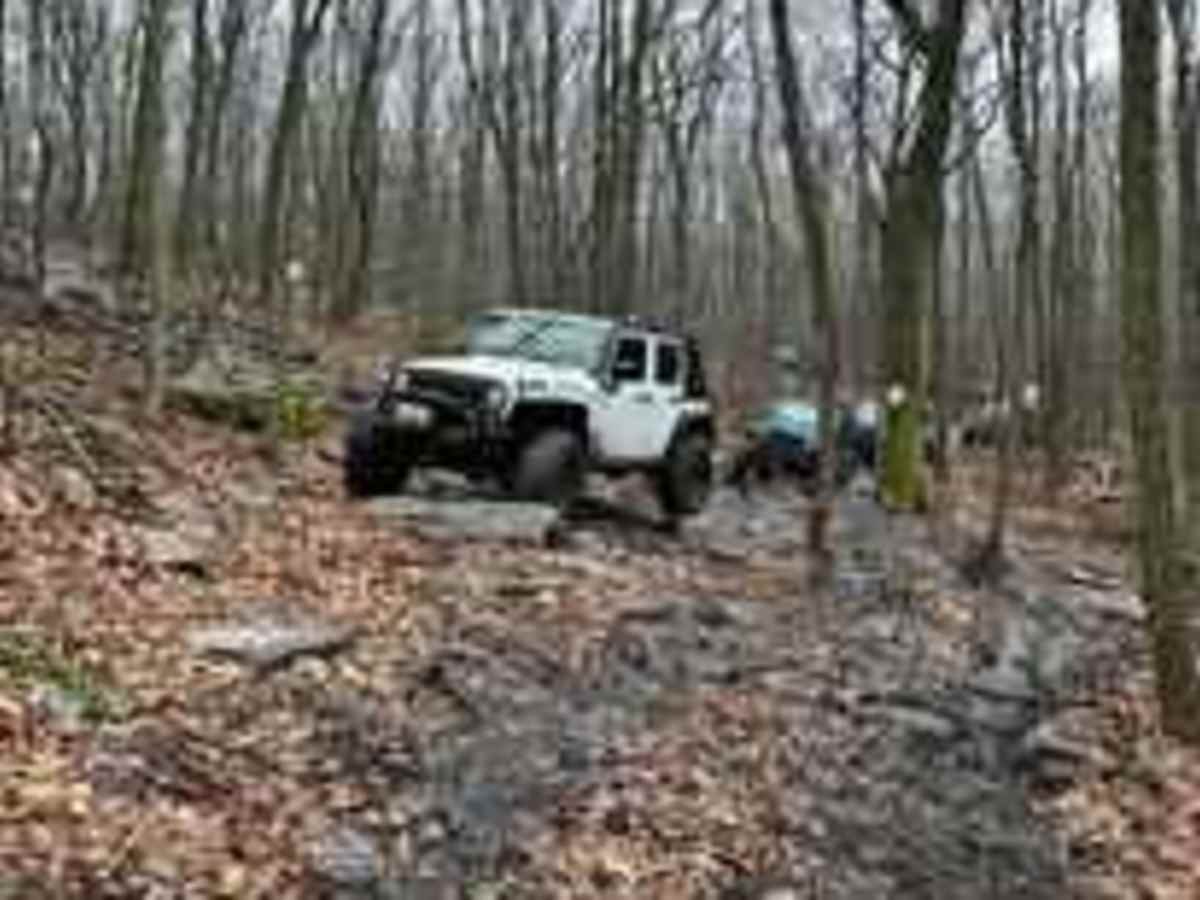 19B Blue photo 5