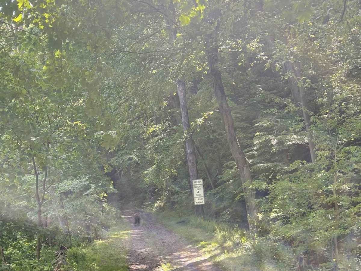 Graham Road photo 6