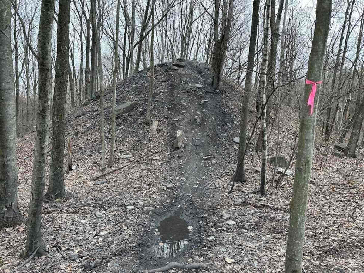 Burma Single Track 3 trail photo