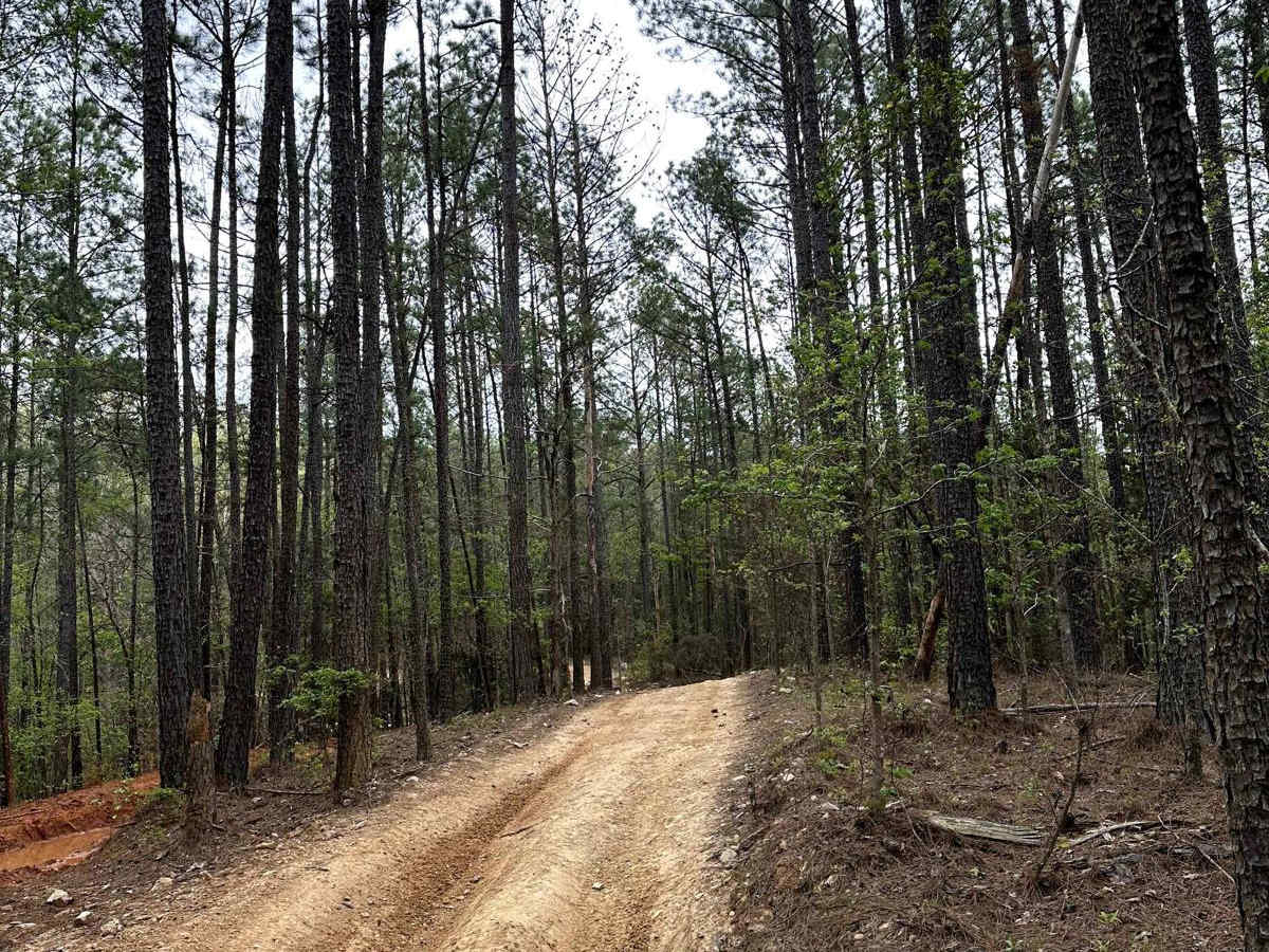 Trail 9 photo 3