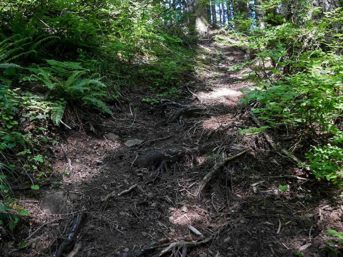 Cramlets Cliff #67 trail photo