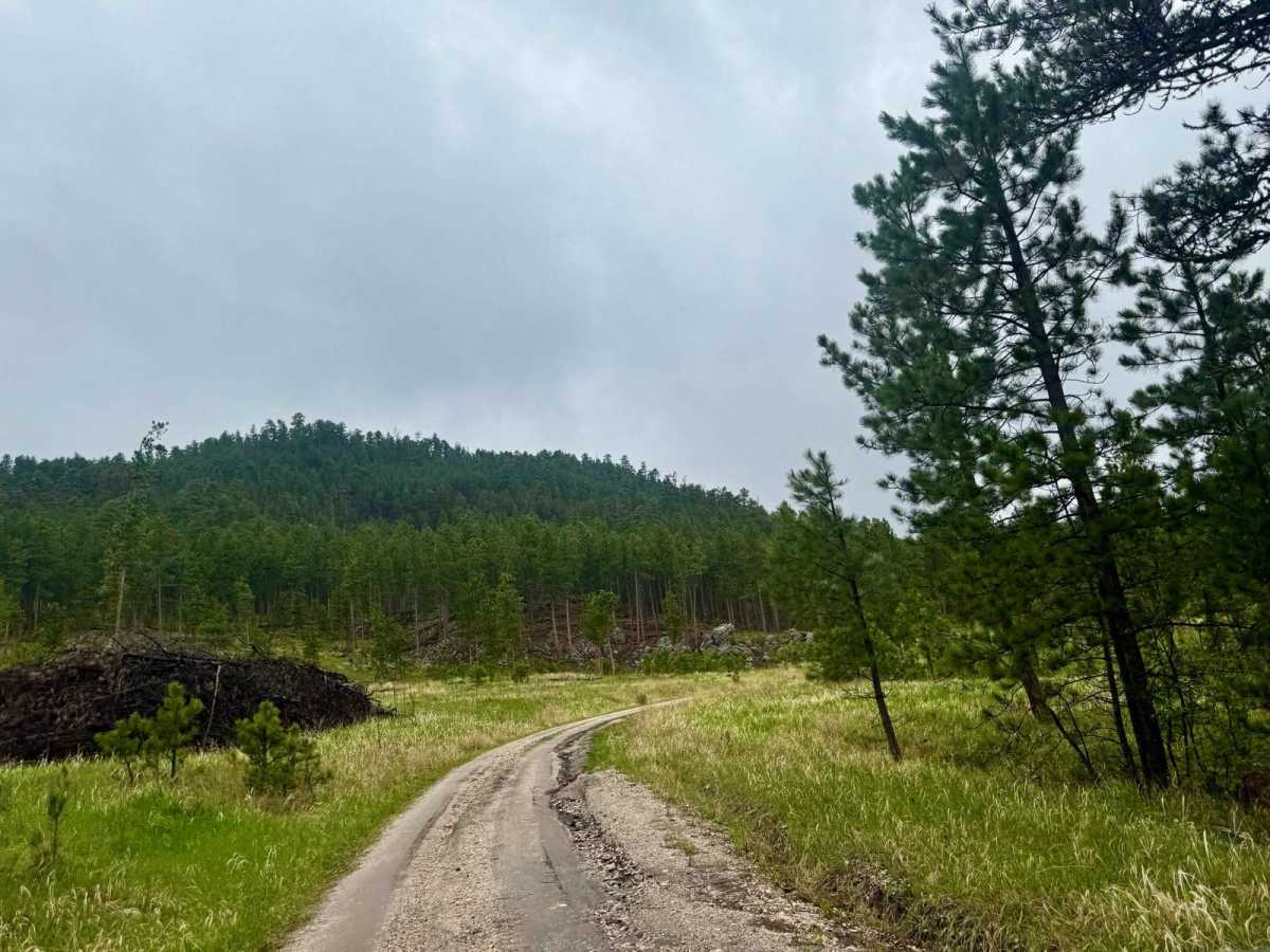 Cowboy Gulch photo 6