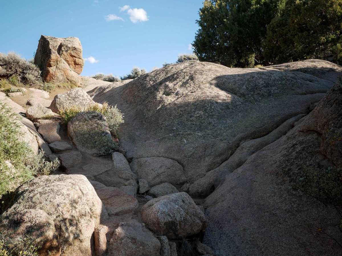 Rattlesnake trail photo