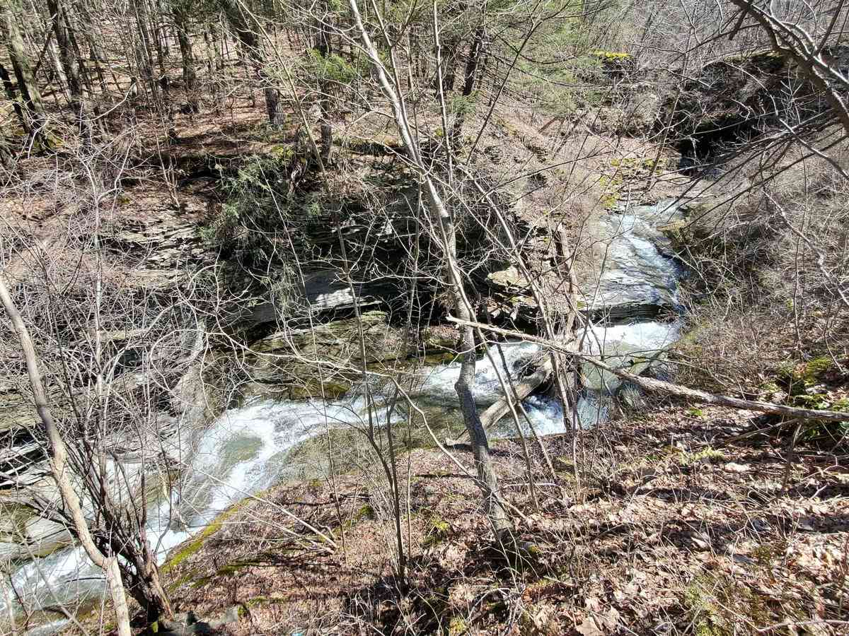 Carpenter Road photo 3