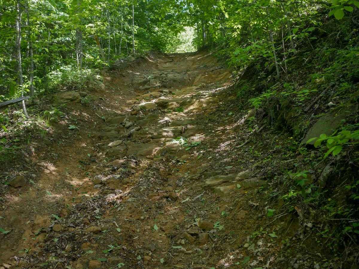 RV37 photo 2
