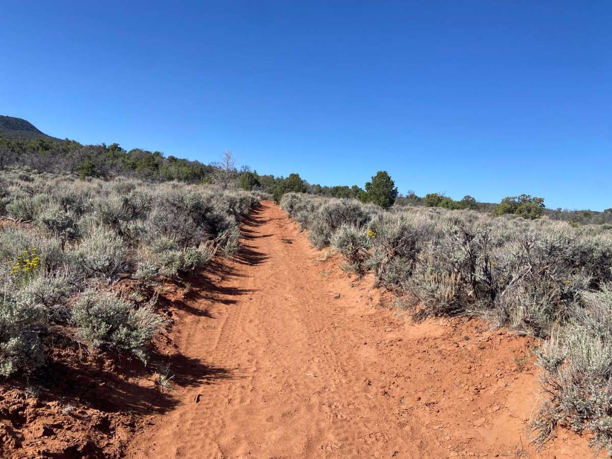 BLM Route 015 photo 4