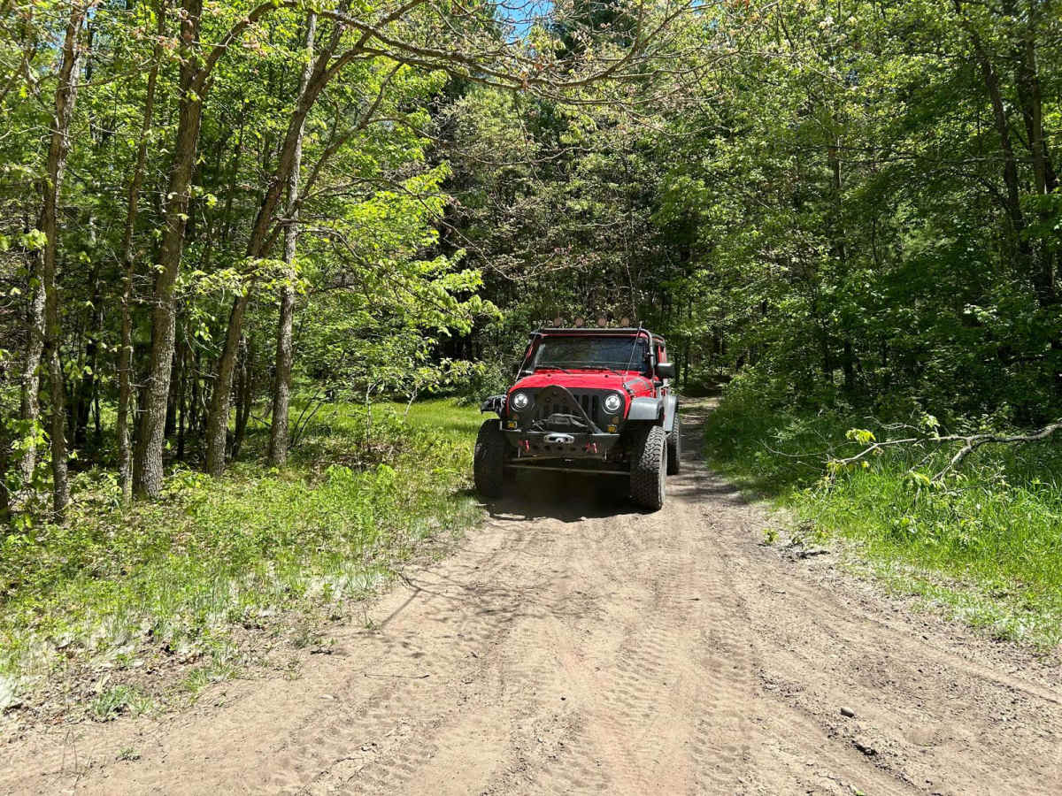 Forest Road 5298 photo 4
