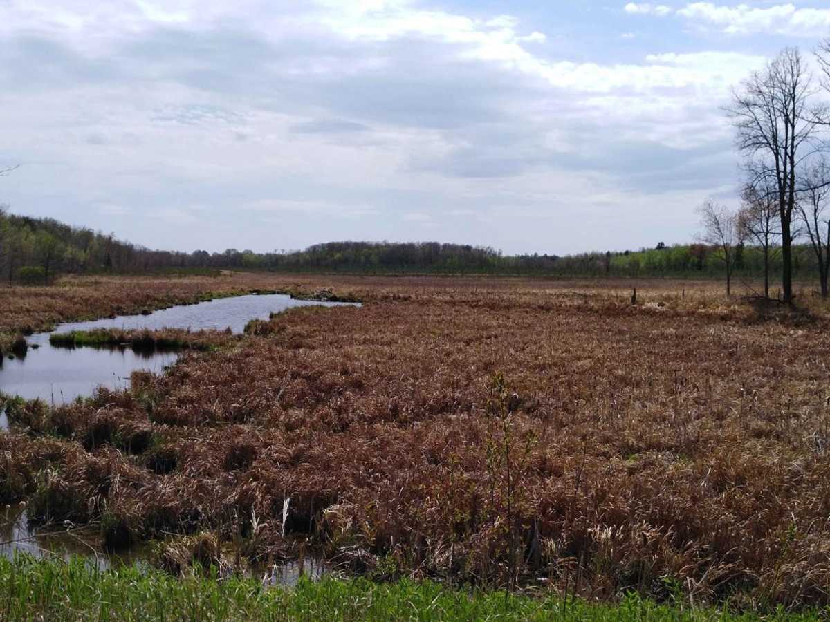 Remer to Boy River photo 5