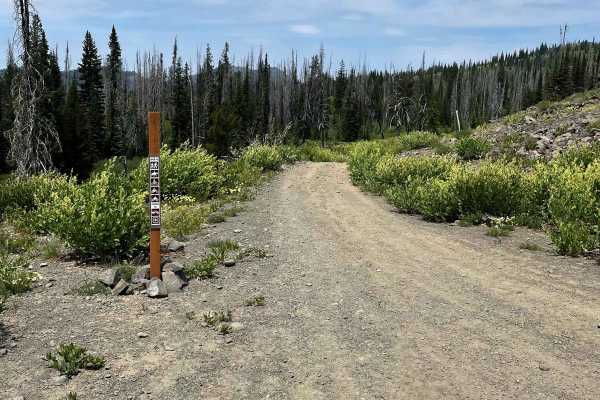 Elk Lake ATV