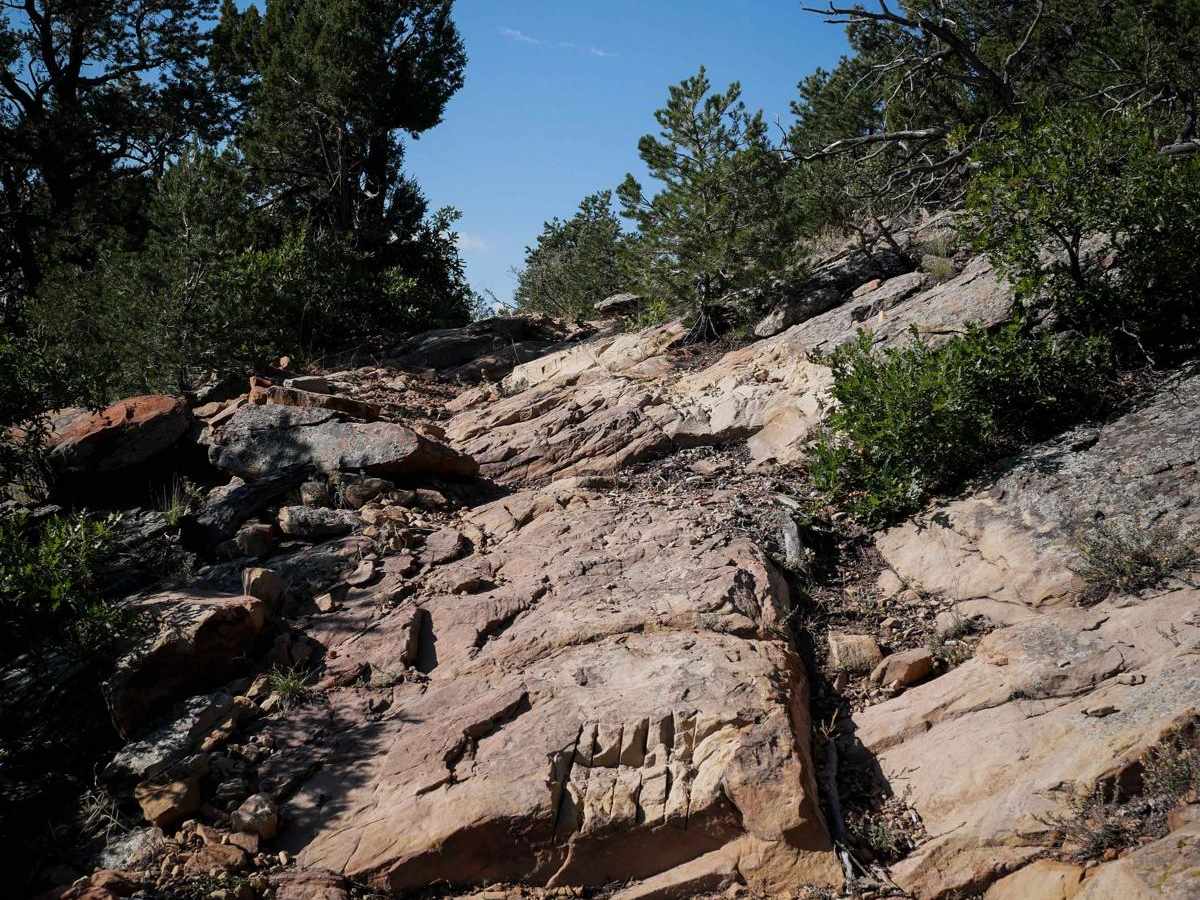 5830C trail photo